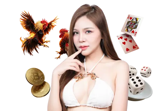 Hướng dẫn người chơi mới
